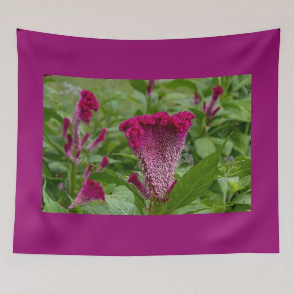 Item preview, Pink-Purple Coxcomb Flower designed and sold by SafariByMarisa.