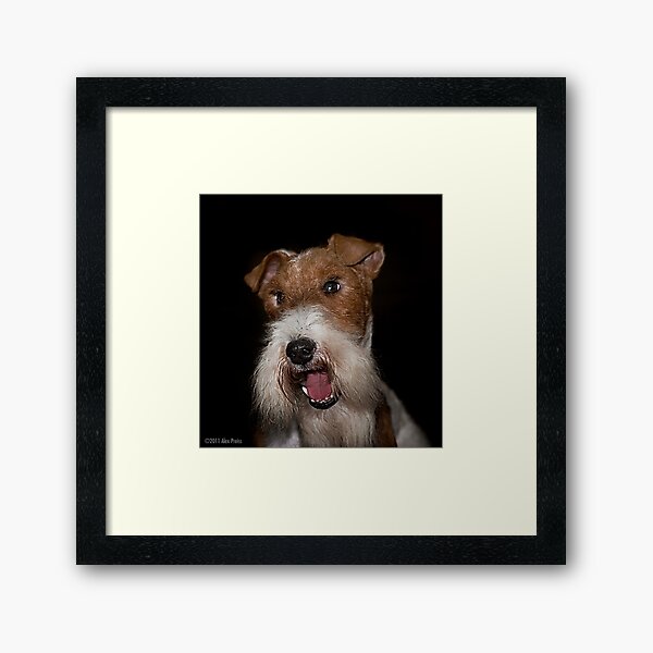 YOU, Sir, Have Double Standards! Framed Art Print