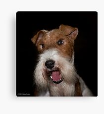 YOU, Sir, Have Double Standards! Canvas Print