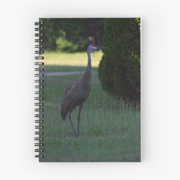 Item preview, Sand Crane designed and sold by kry.ative.