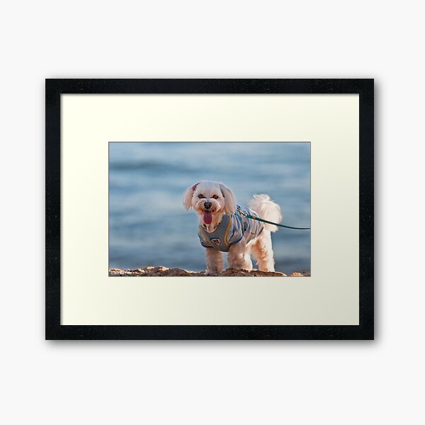 Anonymous Framed Art Print