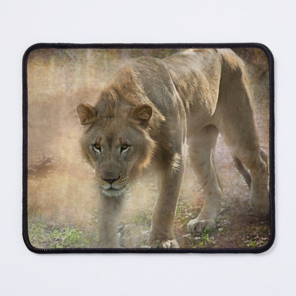 Item preview, Lion On the Prowl designed and sold by KbytesOfJax Outdoor and Nature.