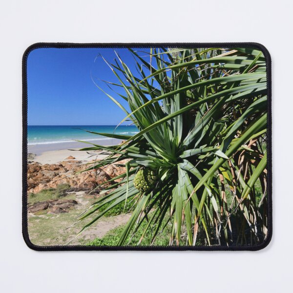 Item preview, Pandanus Coolum designed and sold by photosbymia.