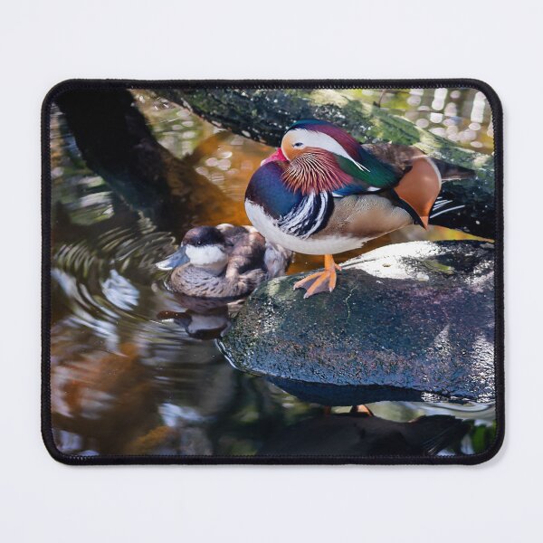 Item preview, Mandarins on Sparkling Pond designed and sold by KbytesOfJax Outdoor and Nature.