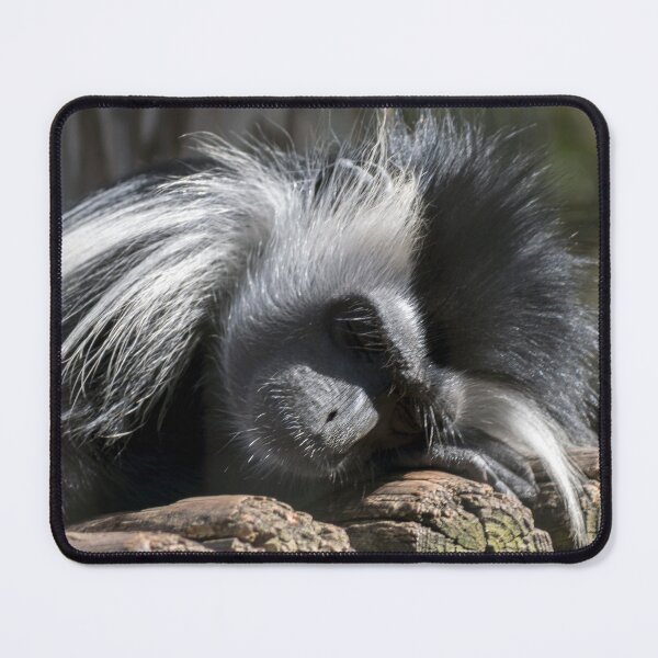 Item preview, Sleeping Like a Log designed and sold by KbytesOfJax Outdoor and Nature.