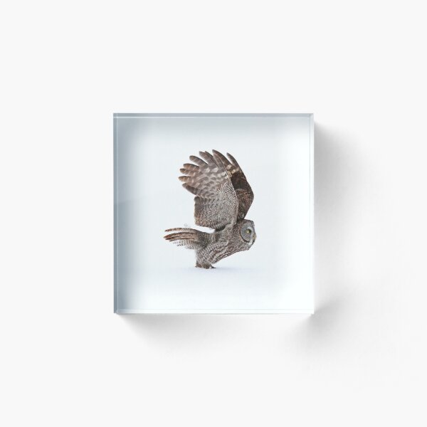 Proceed to runway for take off Acrylic Block