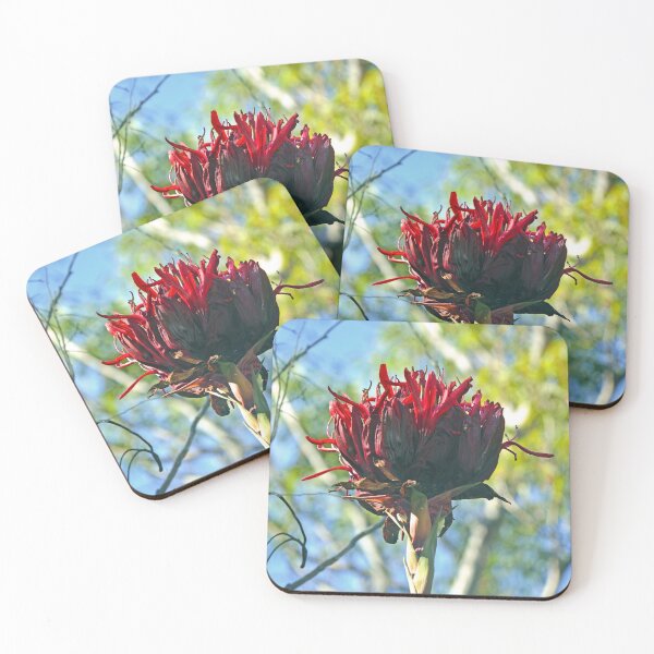 Item preview, Gymea Lily designed and sold by Cloudlingpics.