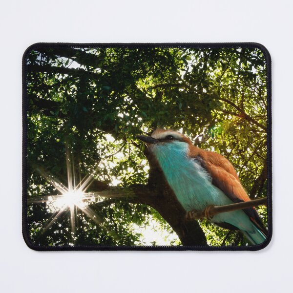 Item preview, Up with the Sun designed and sold by KbytesOfJax Outdoor and Nature.