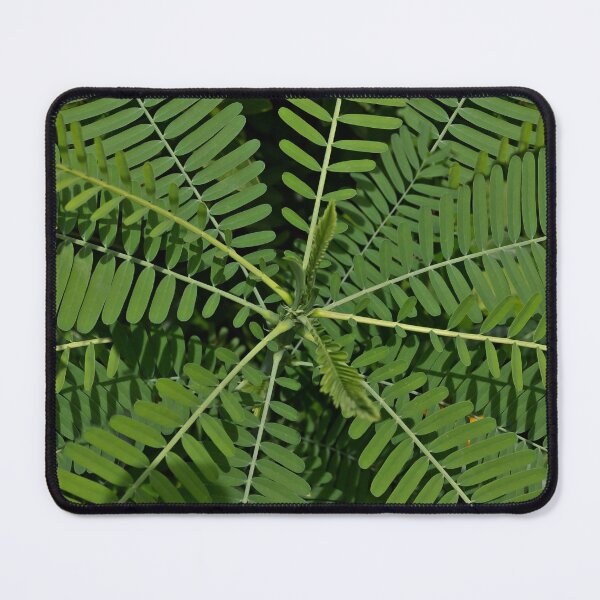 Item preview, Spiral Leaf Background designed and sold by KbytesOfJax Outdoor and Nature.