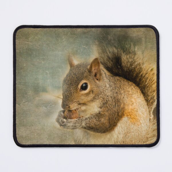 Item preview, Little Nibbler Squirrel designed and sold by KbytesOfJax Outdoor and Nature.