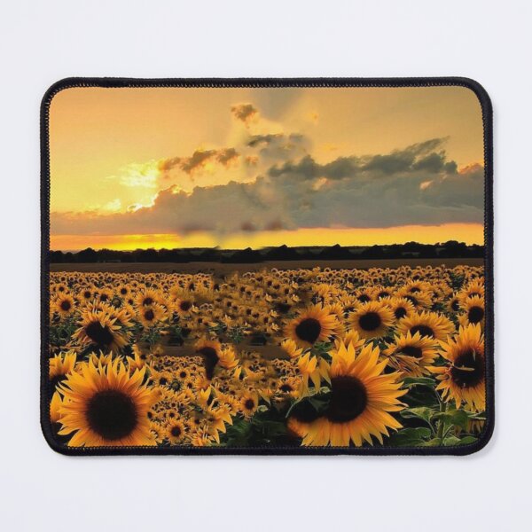 Item preview, Bible Number Sunflowers Scene Sunset designed and sold by HeinoWill.
