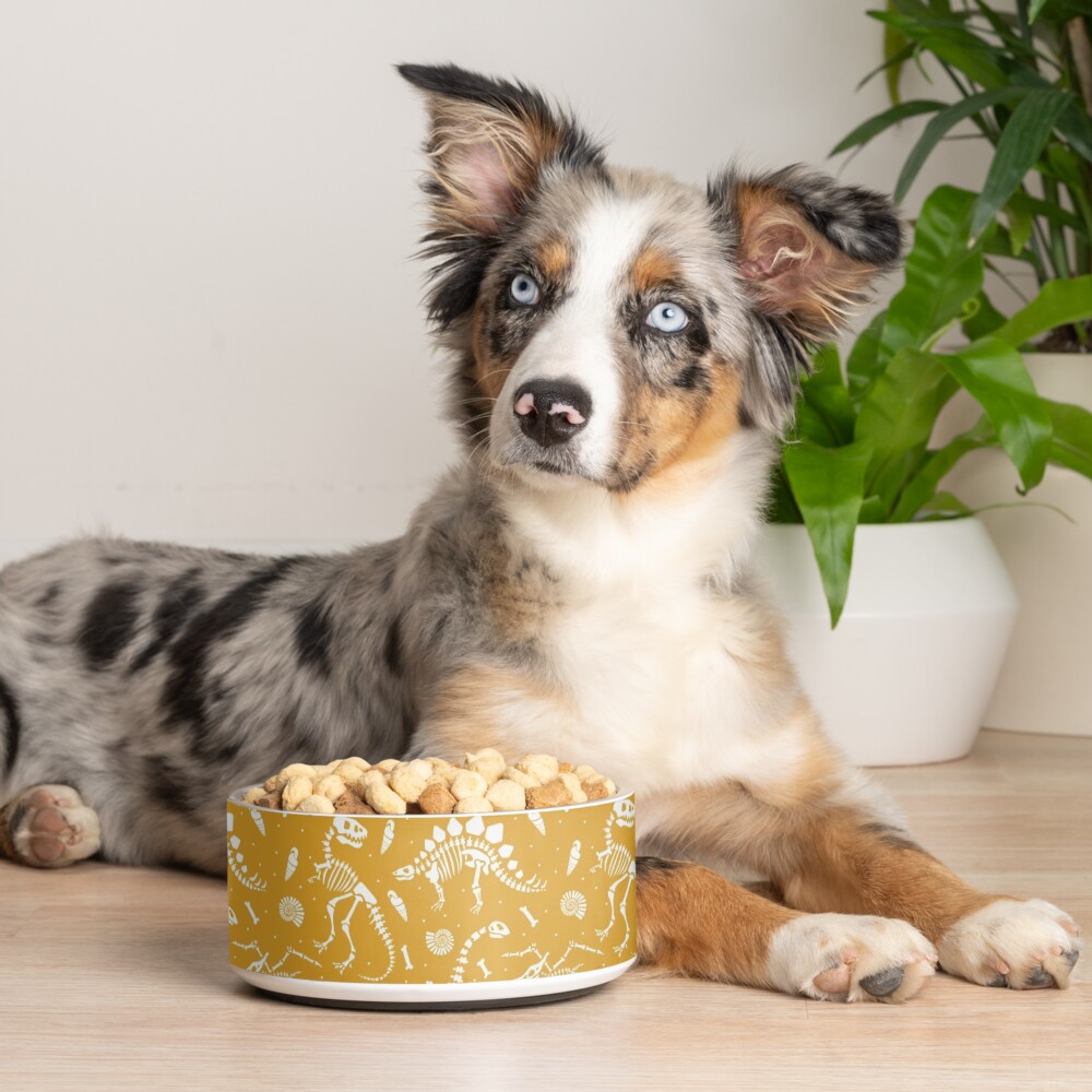 Dinosaur Fossils - Mustard Pet Bowl