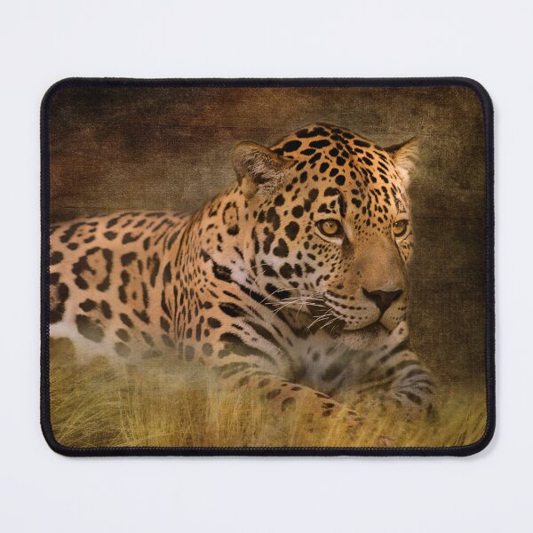Item preview, Resting Jaguar designed and sold by KbytesOfJax Outdoor and Nature.