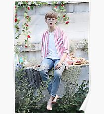 Wanna One (워너원) - Ha Sungwoon (하성운) Poster