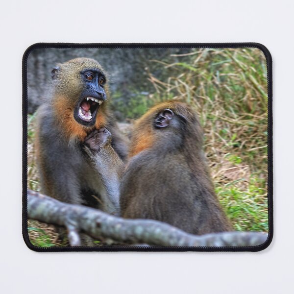 Item preview, Mandrills Menace designed and sold by KbytesOfJax Outdoor and Nature.