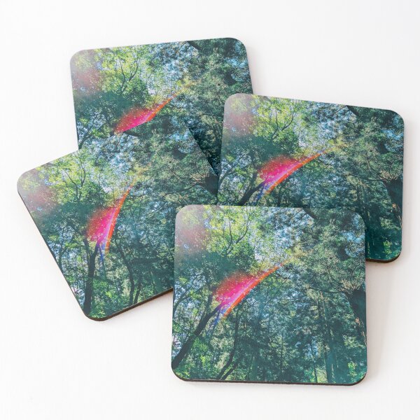 Item preview, Traveling in Japan | Chusonji Temple Forest Road in Iwate, Tohoku | Forest Sunbeam Photo | Gifts for Camp Lovers | Sunlight through Wild Pine Trees designed and sold by KonnichiwaStore.