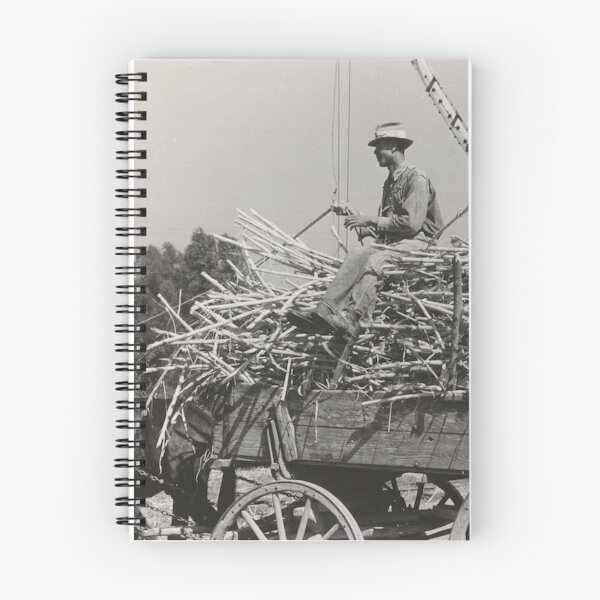 Item preview, Sugar cane harvest 1938 designed and sold by LeJeuneGifts.