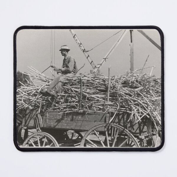Item preview, Sugar cane harvest 1938 designed and sold by LeJeuneGifts.