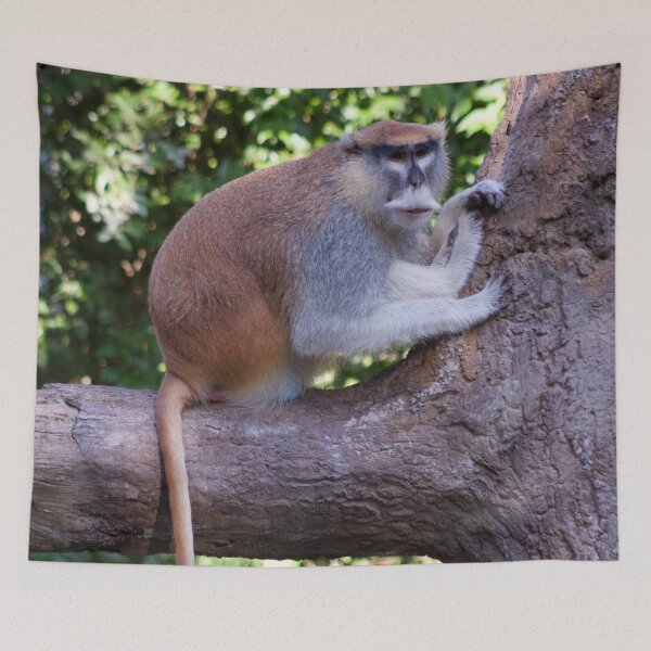 Item preview, Patas Monkey  designed and sold by SpectreSparkC.