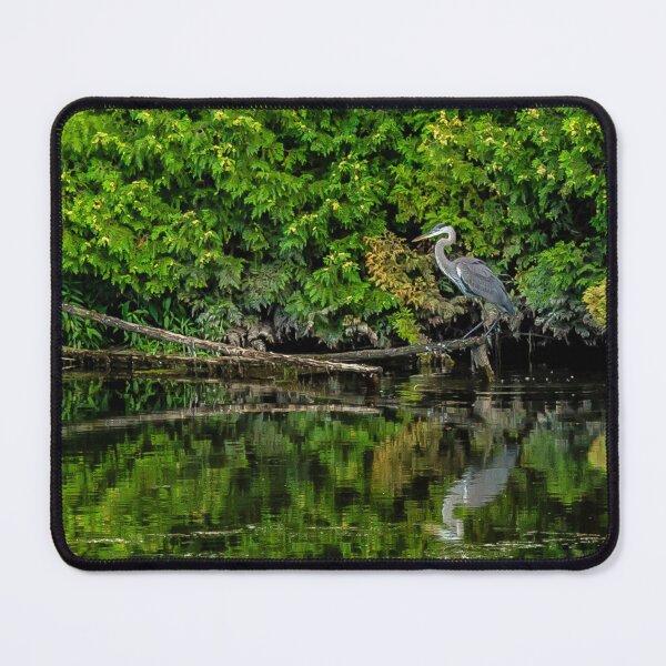Item preview, On Being Still -- Blue Heron designed and sold by Paula Bund.