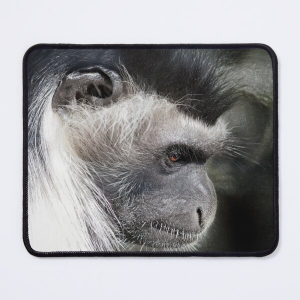 Item preview, The Ancient designed and sold by KbytesOfJax Outdoor and Nature.