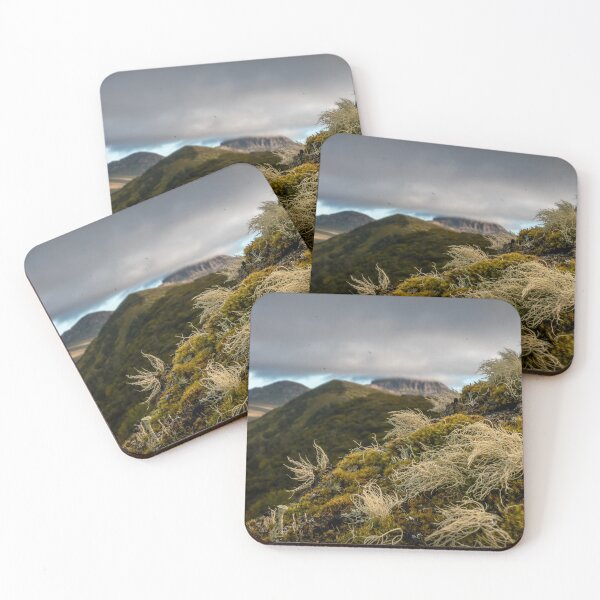 Item preview, Macro Moss designed and sold by Quin Hayes.