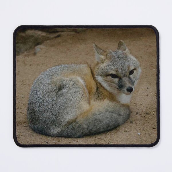 Item preview, Swift Fox designed and sold by SpectreSparkC.