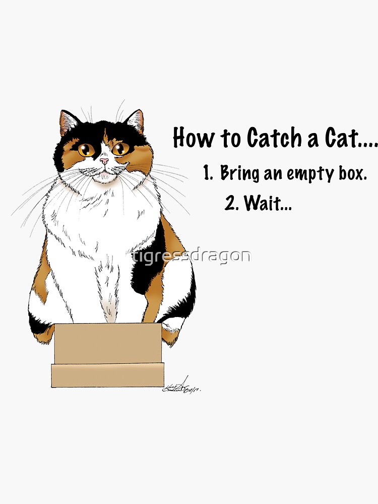 "How to Catch a Cat." Sticker for Sale by tigressdragon Redbubble