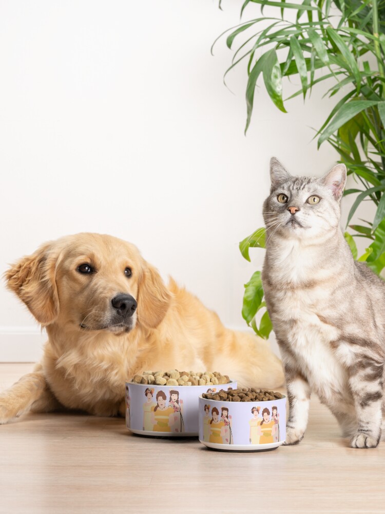 Alternate view of Bridgerton Featherington Sisters - Penelope, Prudence, Philipa Pet Bowl