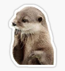 otter sticker Sticker