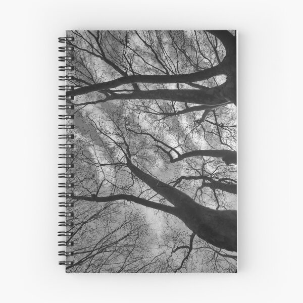Item preview, Look Up designed and sold by John Douglas.