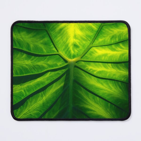 Item preview, Hidden Beauty - Underneath an Intricate Giant Tropical Leaf designed and sold by Georgia Mizuleva.