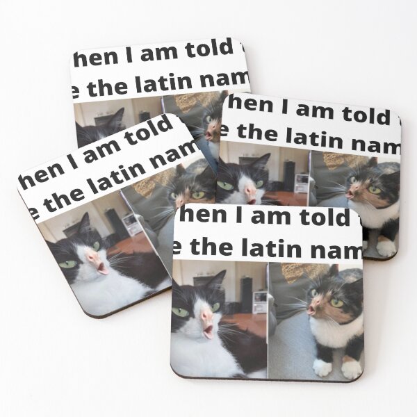 Item preview, When I use Latin names designed and sold by Univers Gifts.