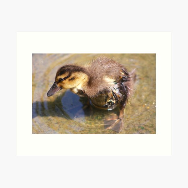 Item preview, Rejection......... designed and sold by jdmphotography.