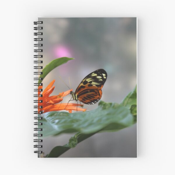 Item preview, Vibrant Butterfly designed and sold by Grace Marengo.