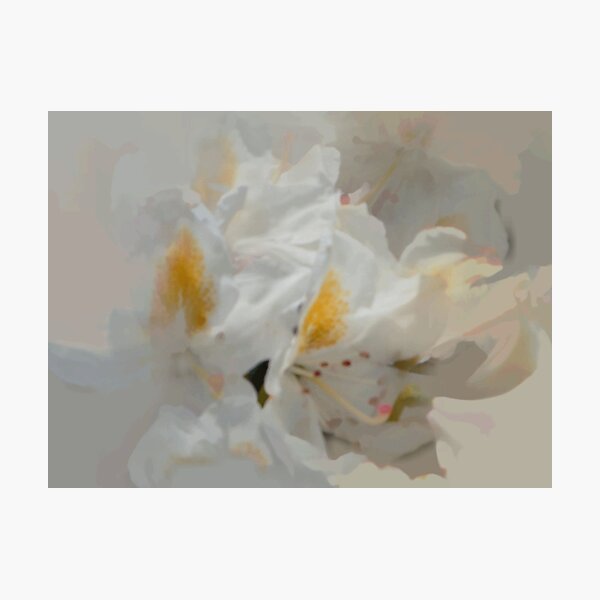 Artikelvorschau, abstract of white rhodie entworfen und verkauft von hilarydougill.