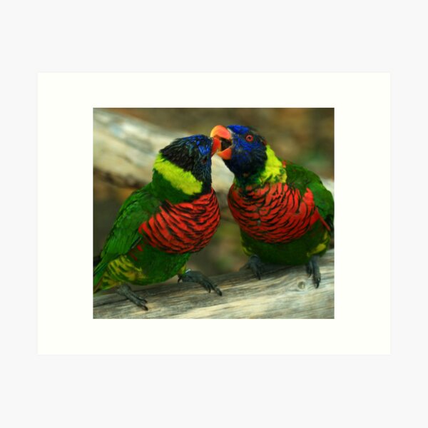 Item preview, Love Birds designed and sold by Anne-Marie Bokslag.