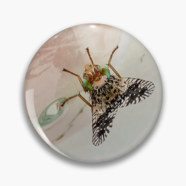Item preview, Fruit Fly designed and sold by davejw.