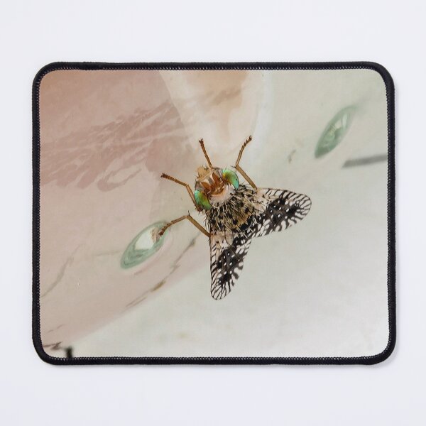 Item preview, Fruit Fly designed and sold by davejw.