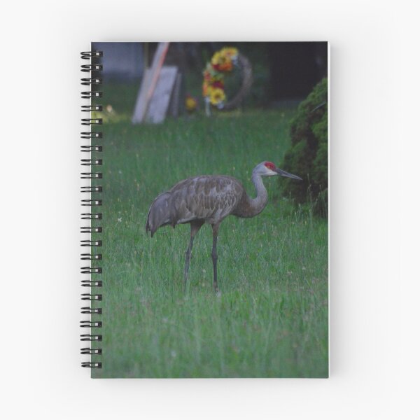 Item preview, Sand Crane designed and sold by kry.ative.