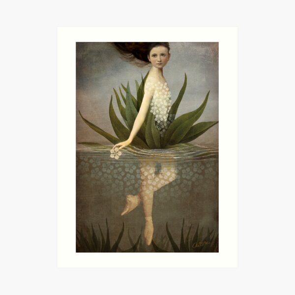 Waterlily Art Print