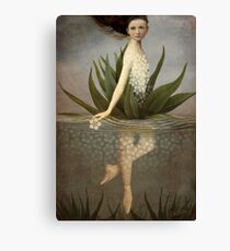 Waterlily Canvas Print