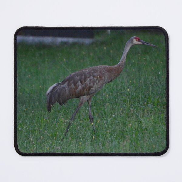 Item preview, Sand Crane designed and sold by kry.ative.