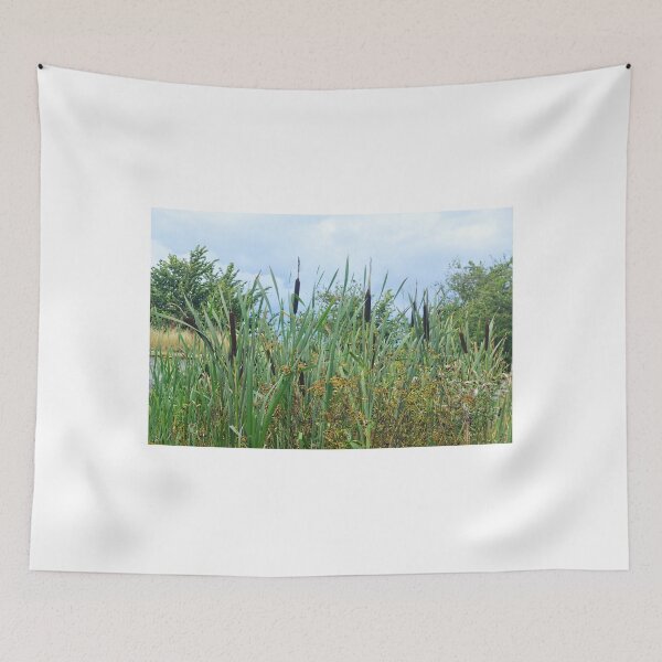 Item preview, Bullrushes at Wetlands.....Seaton Devon UK designed and sold by lynn carter.