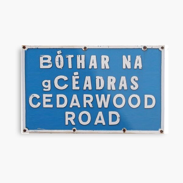 u2 - cedarwood road street name Metal Print