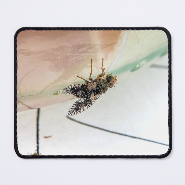 Item preview, Fruit Fly designed and sold by davejw.