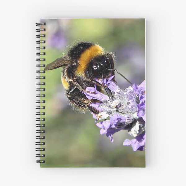 Item preview, Bee Happy! designed and sold by John Thurgood.