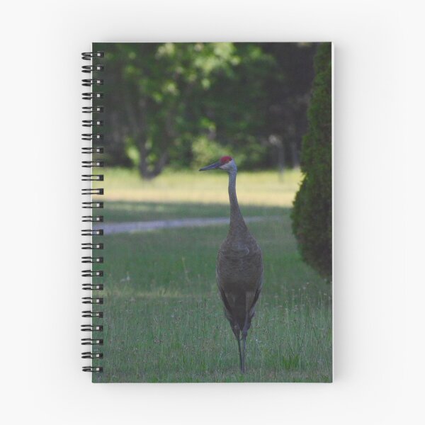Item preview, Sand Crane designed and sold by kry.ative.