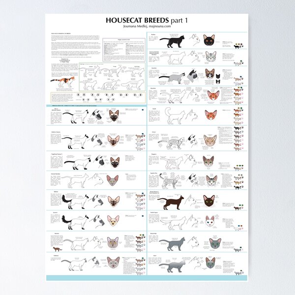 Housecat Breeds part 1 Poster
