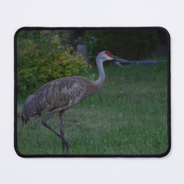 Item preview, Sand Crane designed and sold by kry.ative.